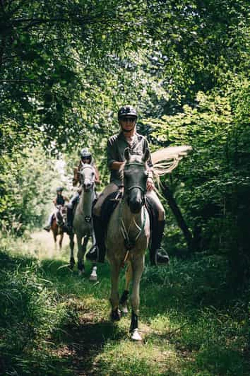 Billet Lac de Côme : Excursion à cheval dans un ancien village