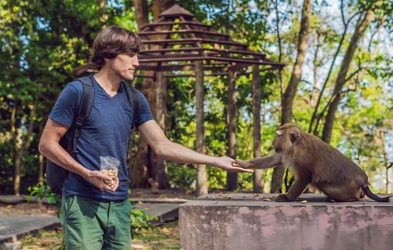 Billet Ubud : cascade, temple, forêt des singes - visite privée