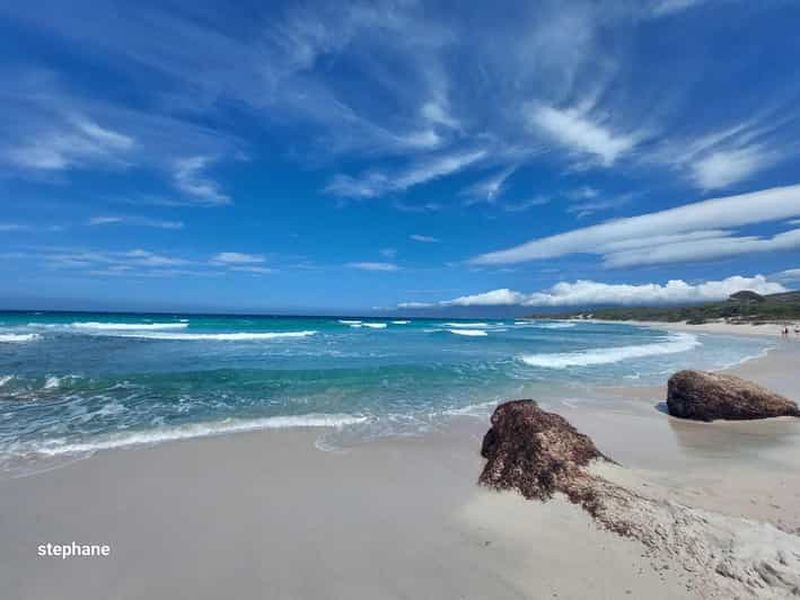 Billet Au départ de Calvi : excursion d'une journée en 4x4 à la montagne et à la plage de Saleccia des Agriates