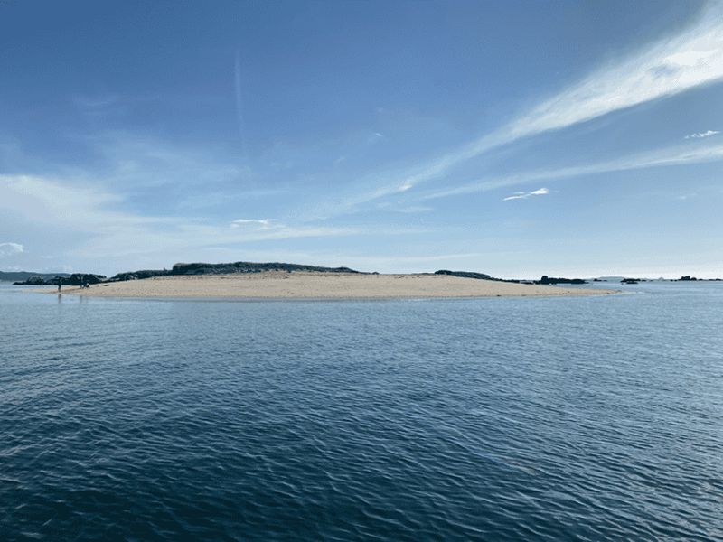 Billet Ría de Arousa : Croisière en voilier de jour ou au coucher du soleil avec boissons