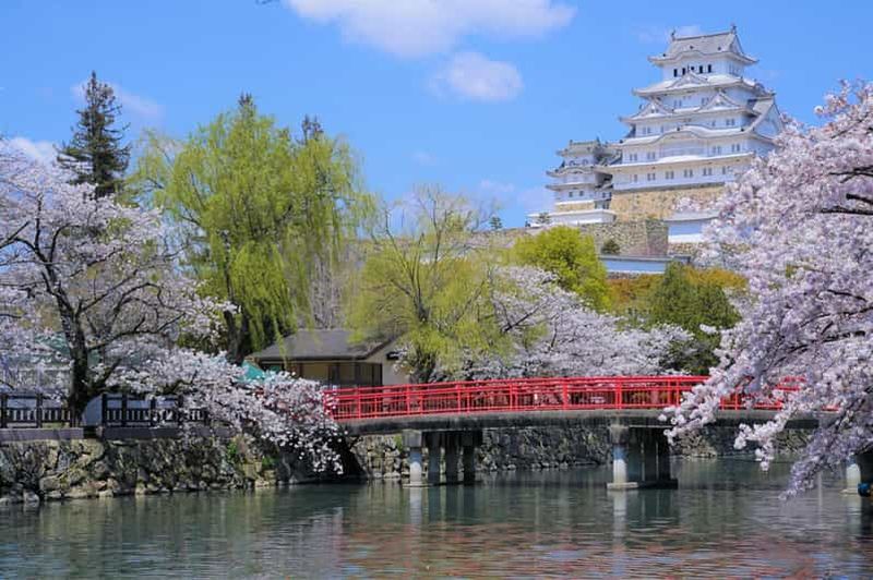 Billet Visite à pied à Himeji : Château, jardin et teinture à l'indigo