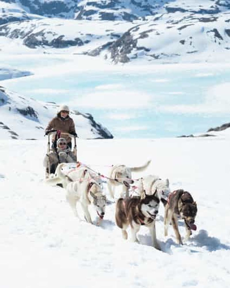 Billet Tromsø : excursion en traîneau à chiens