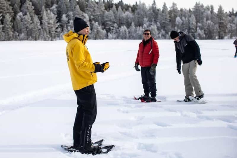 Billet Luleå : Randonnée en raquettes dans une nature intacte