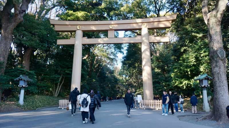 Billet Tokyo : visite guidée du sanctuaire Meiji à Harajuku - Découvrez le shintoïsme