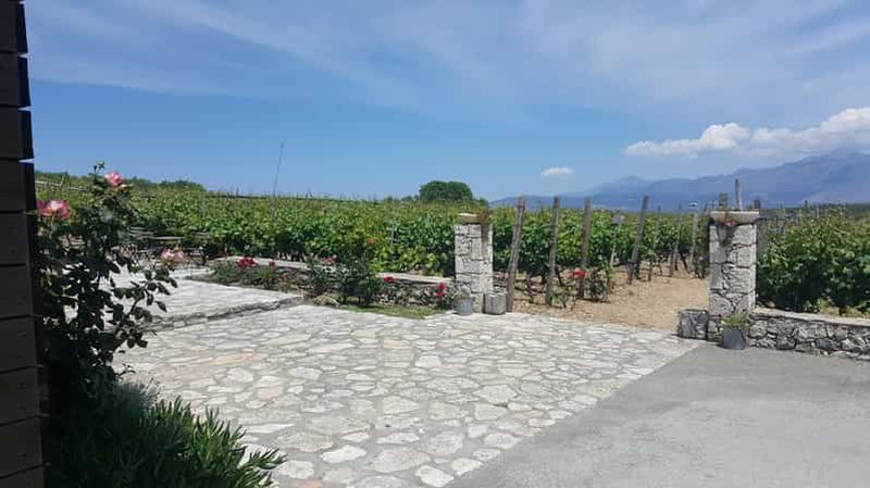 Billet La Canée : Visite d'une jounée des vignobles et des caves à vin avec dégustations