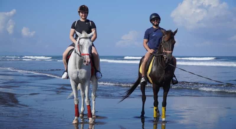 Billet Bali : excursion à cheval avec transfert depuis l'hôtel