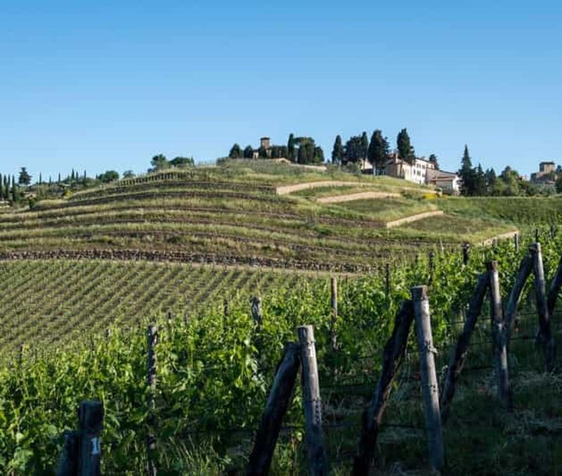 Billet Greve in Chianti : visite et dégustation de vins à Tenuta Casenuove