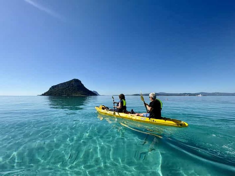 Billet Golfo Aranci : visite guidée en kayak en petit groupe avec guide allemand et observation des dauphins