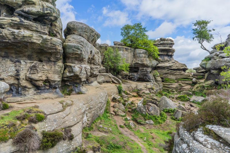 Brimham Rocks