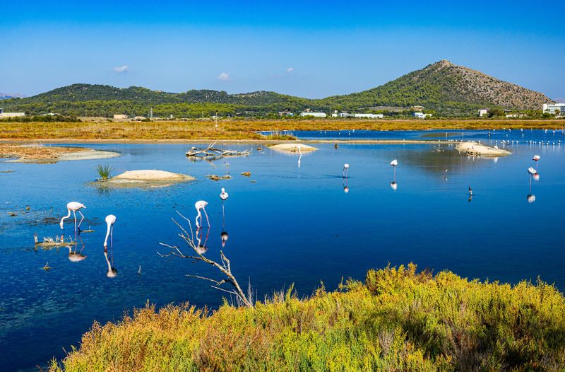 Parc Naturel de S’Albufera des Iles Baléares