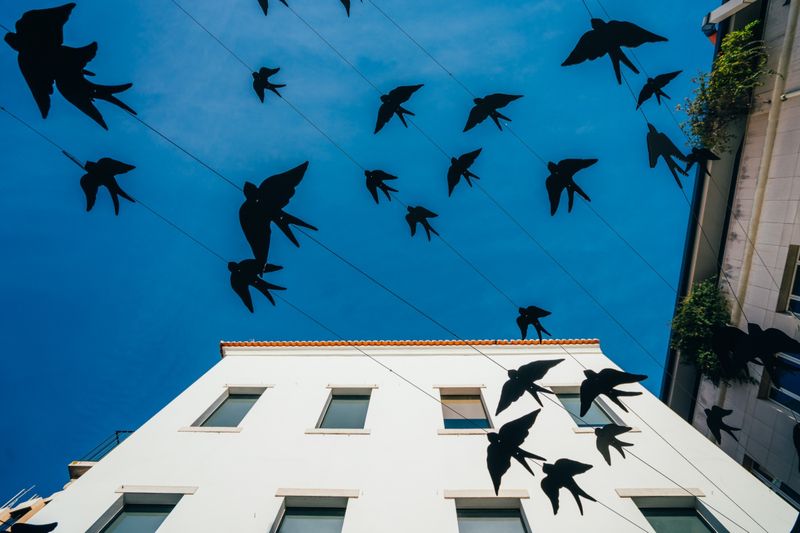 Musée Bordalo Pinheiro