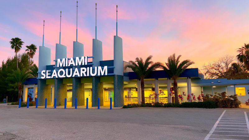 Miami Seaquarium
