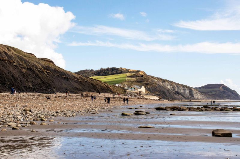 Plage fossile de Lyme Regis