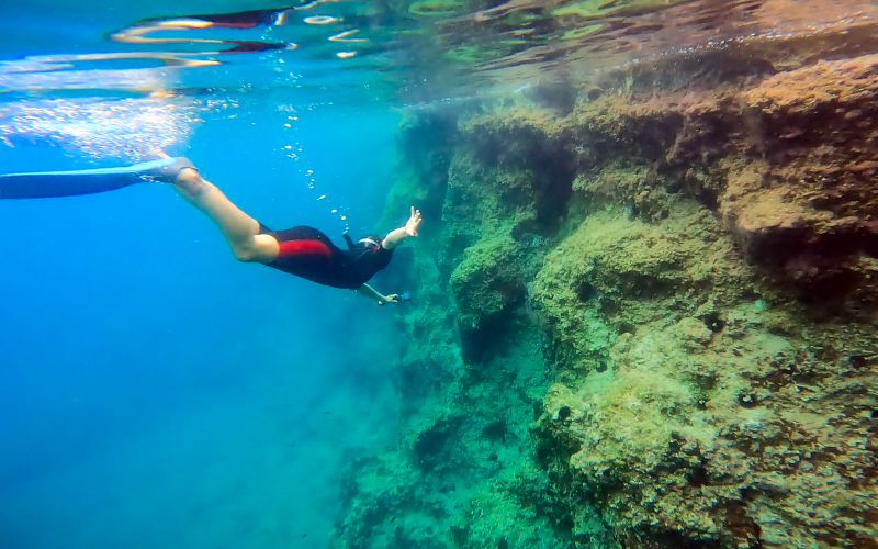 Billet Sorties en bateau avec tuba à Nea Makri, Athènes