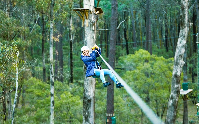 Billet Busselton : Billets pour le parc Forest Adventures avec la tyrolienne et les cordes en hauteur