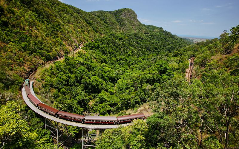 Billet Depuis Cairns : Scenic Train with Gold Class & Skyrail Kuranda Tour with Transfers (Train panoramique avec classe or et visite de Kuranda avec Skyrail)