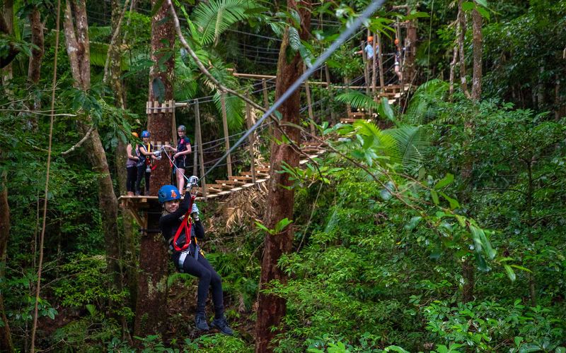 Billet Visite en tyrolienne de la forêt tropicale de Daintree