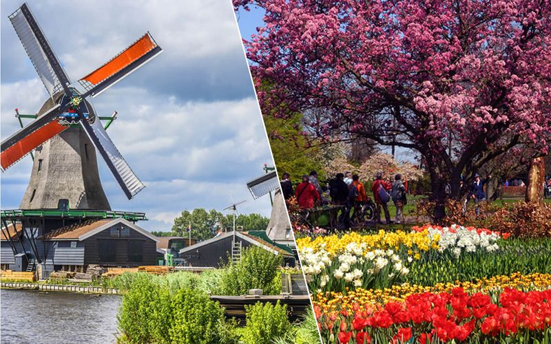 Billet À partir d'Amsterdam : Keukenhof, Zaanse Schans et visite de la campagne avec croisière sur les canaux.