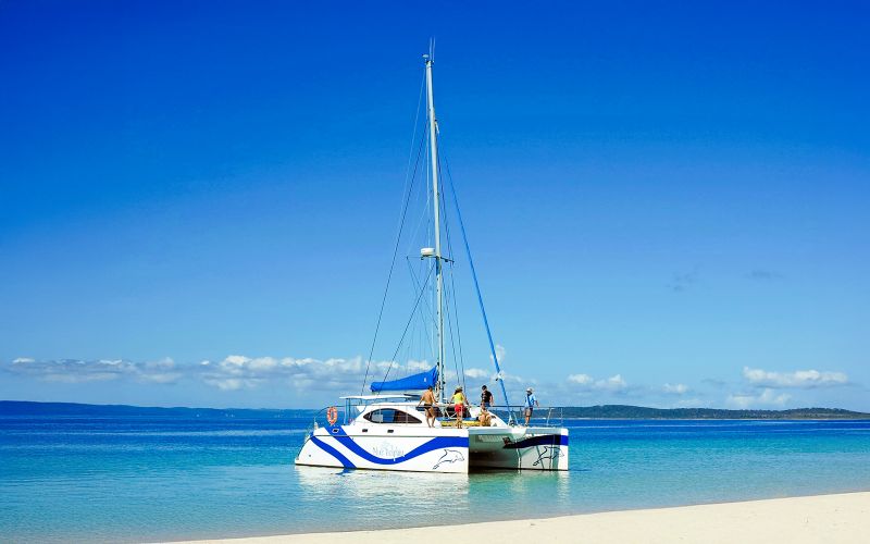 Billet À partir de Hervey Bay : Croisière éco-voile pour les dauphins de K'gari (Fraser Island)