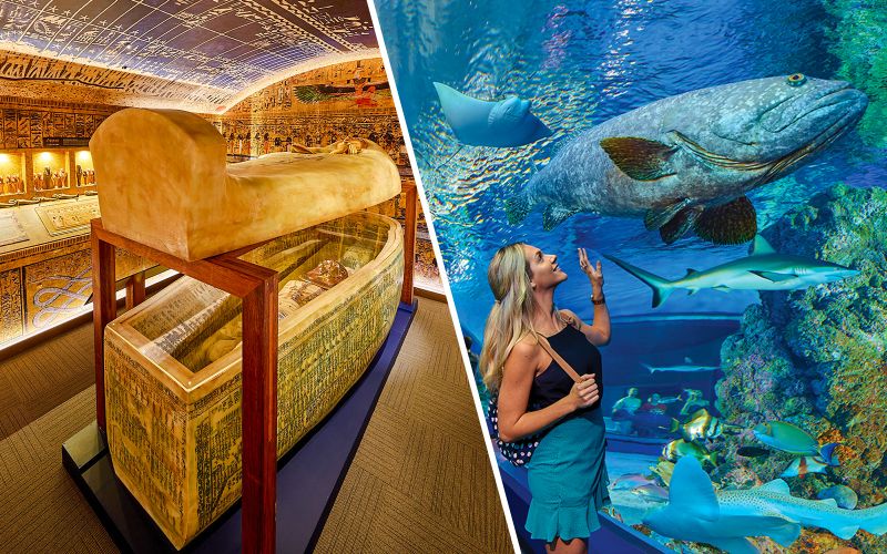 Billet Combo : Tombe des Pharaons + Billets pour l'Aquarium de Cairns