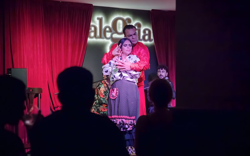 Billet Alegría - Spectacle de flamenco