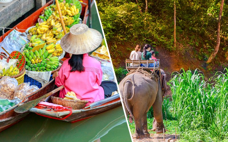 Billet Le marché flottant de Damnoen Saduak et le camp d'éléphants de Bangkok : excursion guidée d'une journée