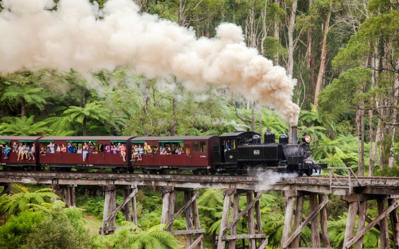 Billet depuis Melbourne : Promenade en train à Puffing Billy et visite guidée de Phillip Island