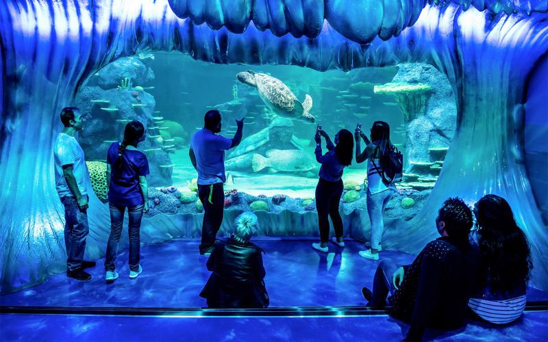 Billet Billets pour l'aquarium SEA LIFE Sydney
