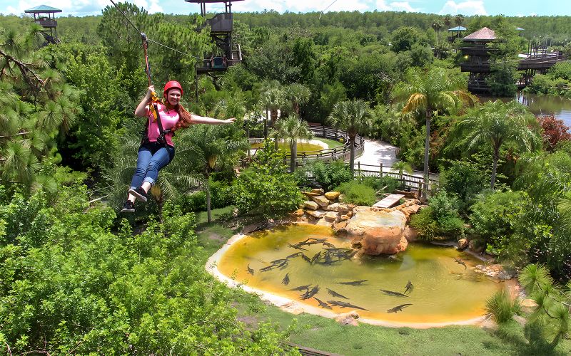 Billet Billets pour Gatorland avec accès à la tyrolienne Screamin' Gator
