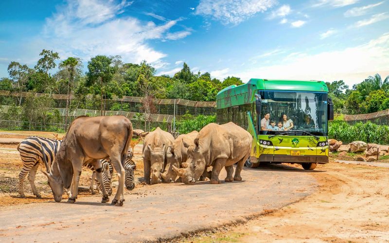 Billet [Combo une journée] Billets pour Vinpearl Safari et VinWonders