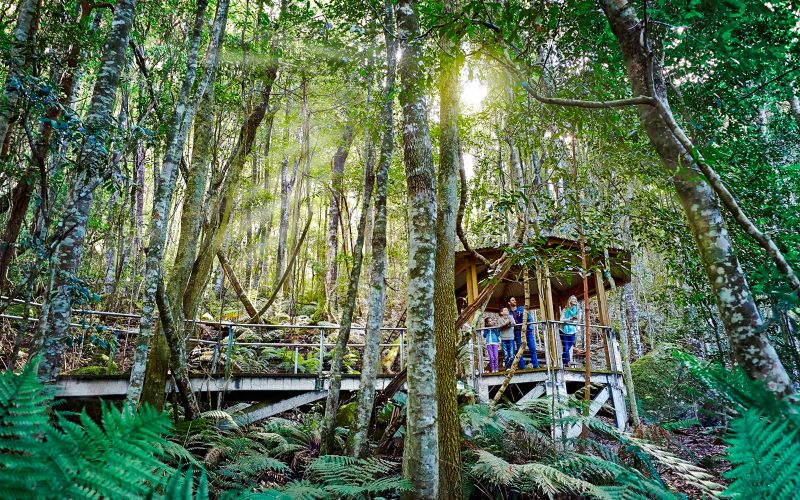 Billet Circuit dans les Montagnes bleues avec Scenic World et le zoo de Sydney ou le parc animalier de Featherdale