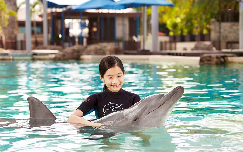 Billet Billets pour l'Océanarium de Singapour et instants avec les dauphins