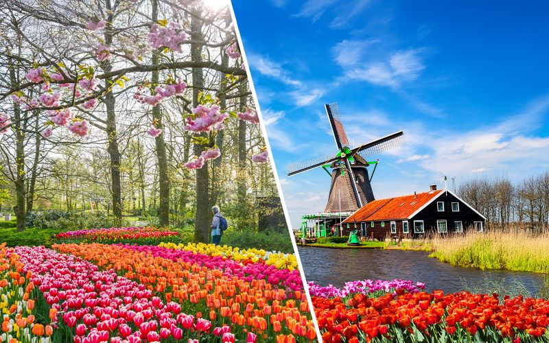 Billet Keukenhof et Zaanse Schans - Excursion guidée d'une journée à partir d'Amsterdam