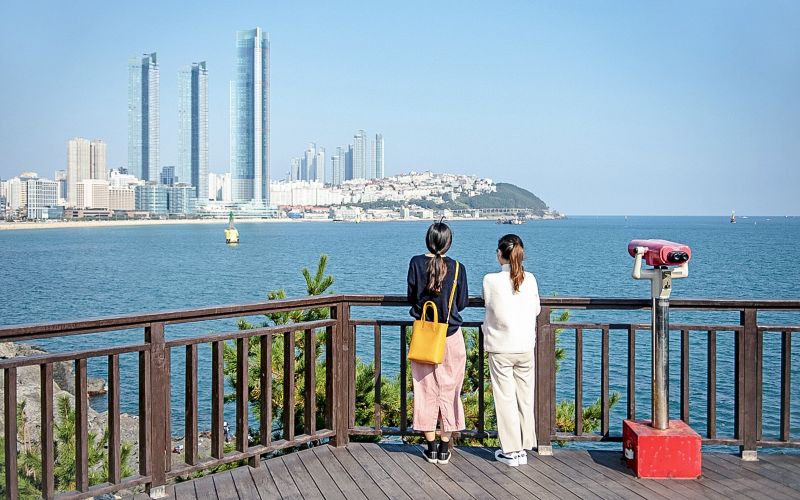 Billet Busan 1-Day City Tour & Blue Line Park Sky Capsule