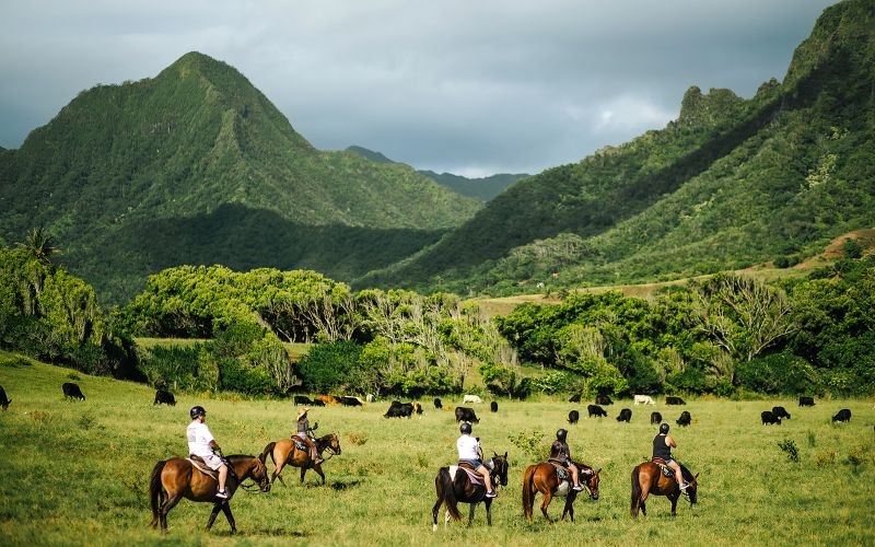 Billet Kualoa Ranch : Visite à pied à cheval