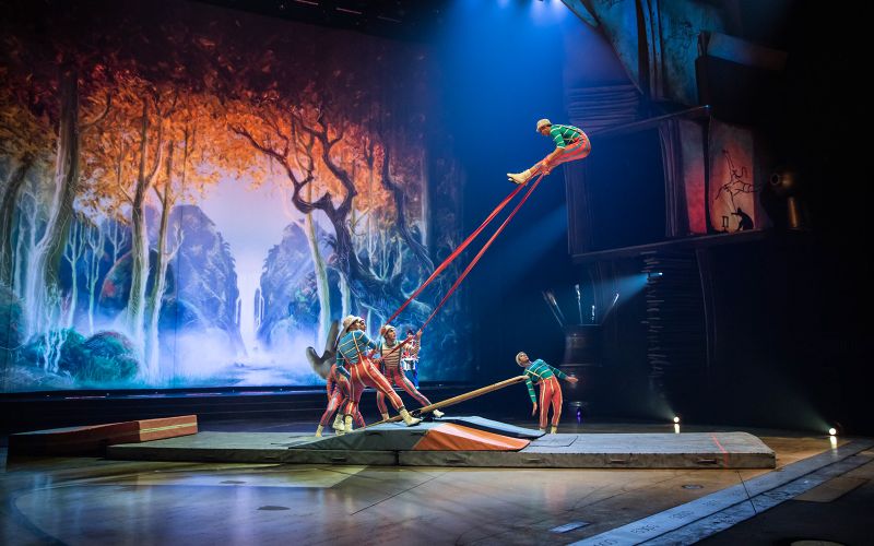 Billet Une vie dessinée par le Cirque du Soleil et Disney
