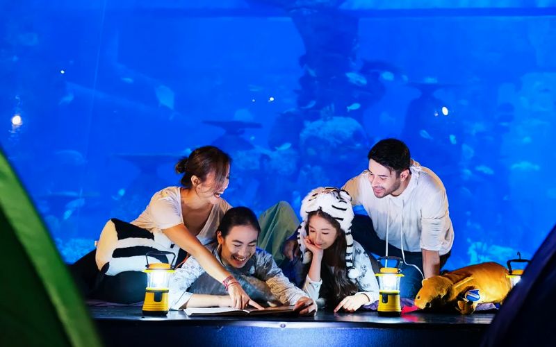 Billet Billets pour le safari de l'aquarium de Jakarta