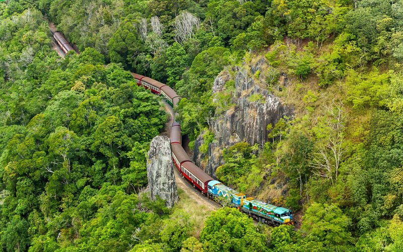 Billet Depuis Cairns : Train panoramique, Skyrail et Hartley's Crocodile Adventures