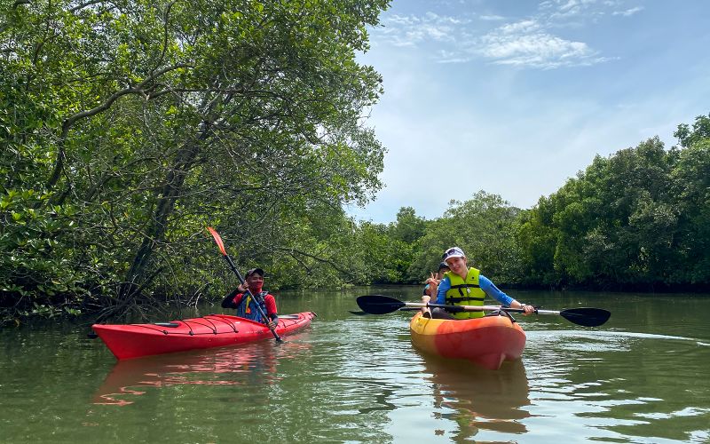 Billet Aventure en kayak dans la mangrove de Pulau Ubin