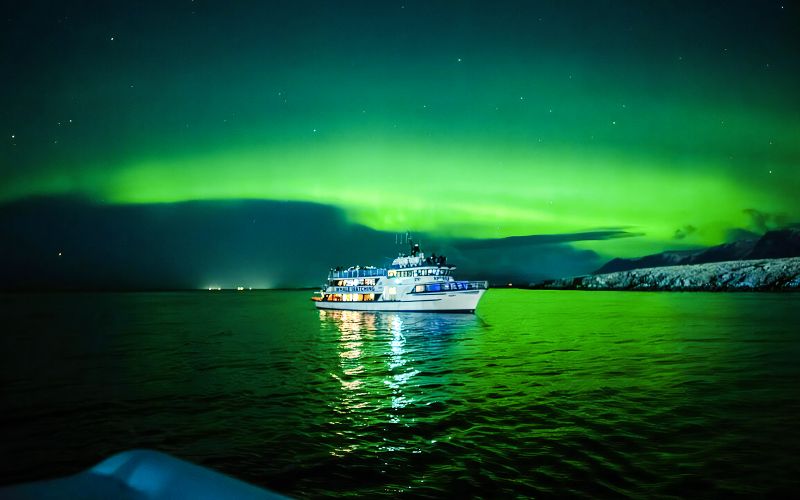 Billet Reykjavik : Croisière touristique aux aurores boréales