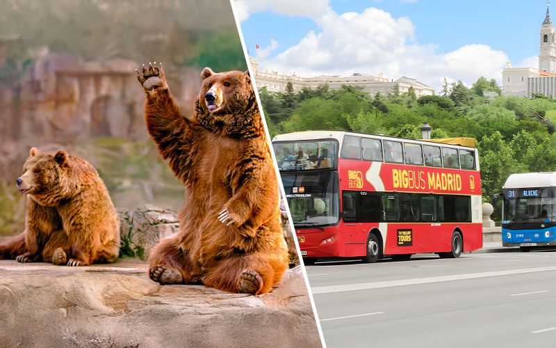 Billet Combo : Billets pour le zoo et l'aquarium de Madrid + visite en bus de la vue panoramique de Madrid