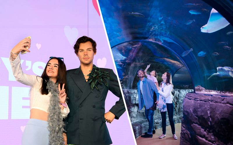 Billet Combo : Billets pour Madame Tussauds + SEA LIFE Londres