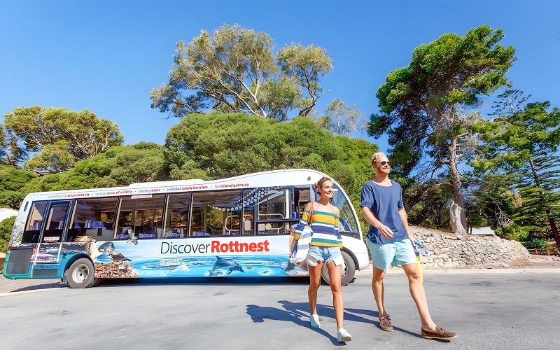 Billet Visite guidée en bus de l'île Rottnest avec ferry aller-retour