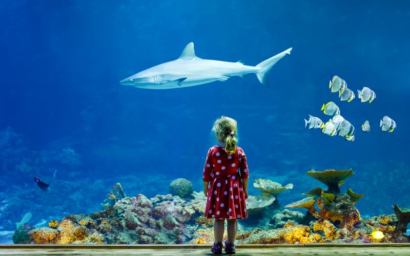 Billet Billets pour l'aquarium de Paris