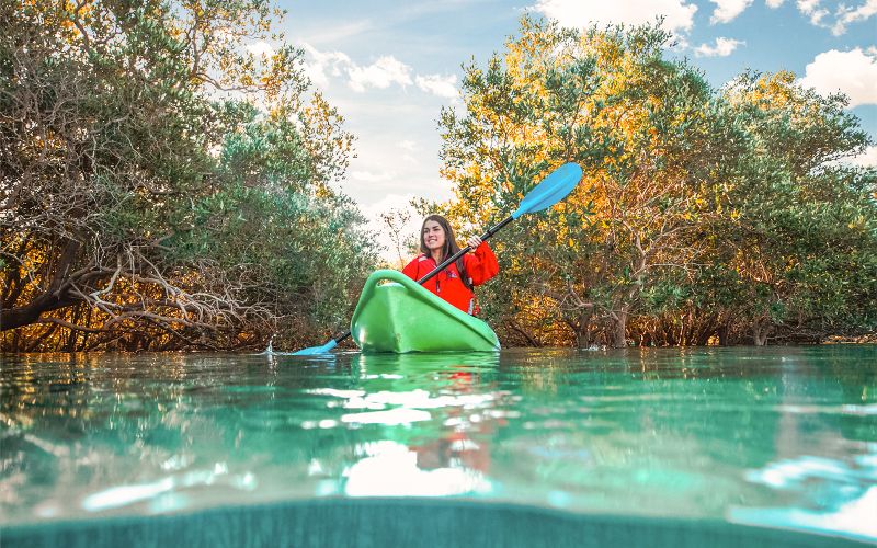 Billet Billets pour le kayak dans la mangrove à Abu Dhabi