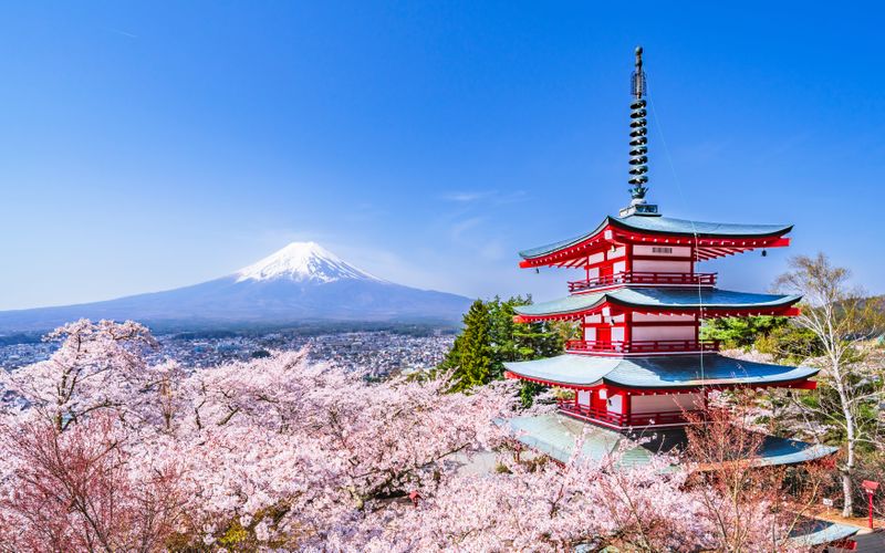 Billet Visite des Points forts du Mont Fuji : Pagode Chureito, lac Kawaguchi, Oshino Hakkai, et plus encore