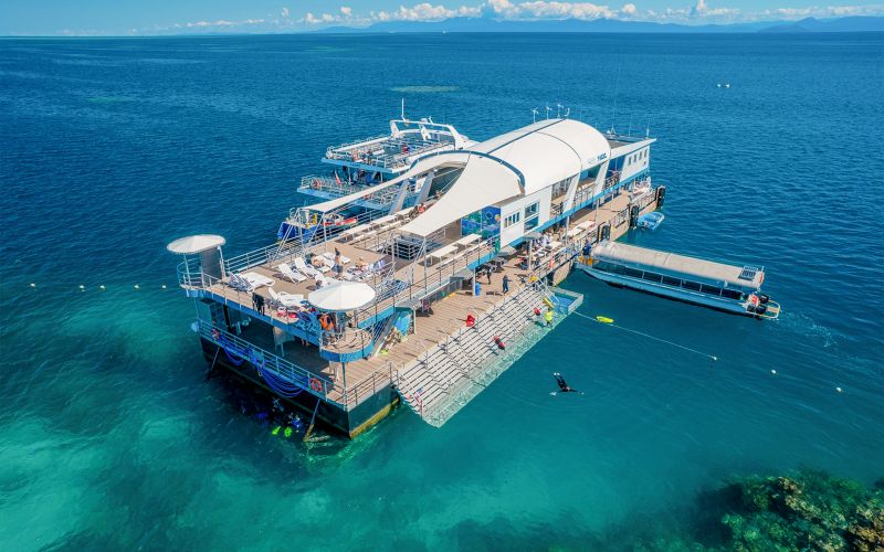 Billet Croisière avec plongée avec tuba de Cairns à la Grande Barrière de Corail, activités sur ponton et déjeuner par Reef Magic