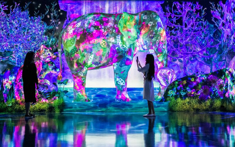 Billet Billets pour E・ZO FUKUOKA teamLab Forest