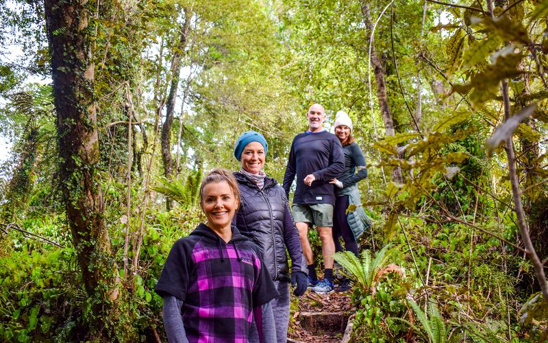Billet Croisière panoramique Franz Josef et promenade guidée dans la forêt tropicale