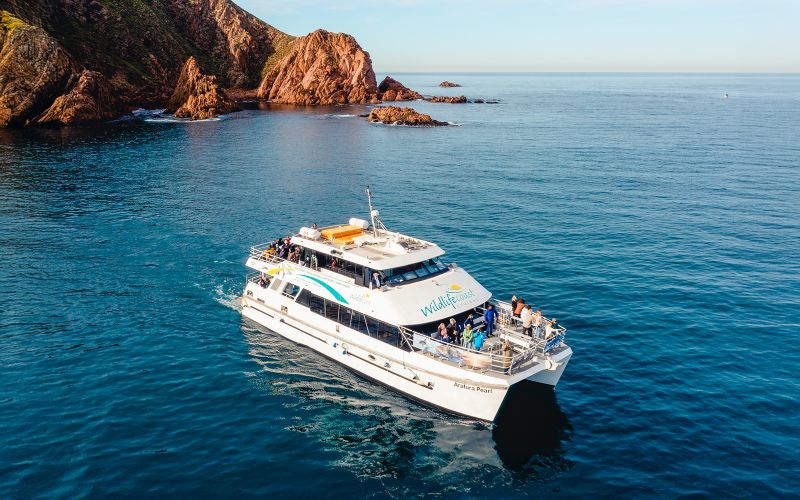 Billet [Non inclus : 10% de réduction] Croisière matinale au Cap Woolamai à Phillip Island